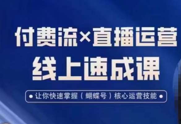 视频号付费流实操课程，付费流✖️直播运营速成课，让你快速掌握视频号核心运营技能|无忧资源社