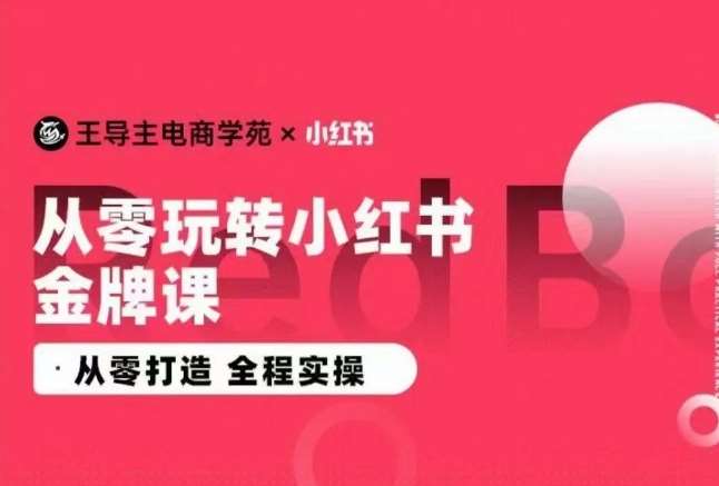 王导主·小红书电商运营实操课，​从零打造  全程实操|无忧资源社