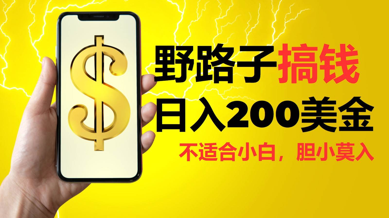 挂机野路子搞钱，日入200美金，路子很野，小白莫入|无忧资源社