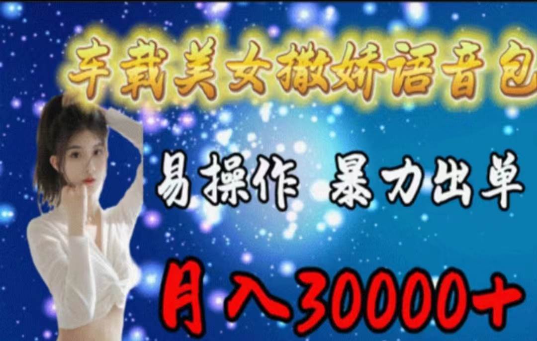 （11249期）车载美女撒娇语音包，执行就出单，月入3000＋，小白看完课程就能马上实操|无忧资源社