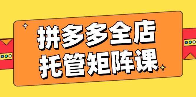 （14328期）拼多多全店托管矩阵课，盈利动销玩法，高效计划设置，提升店铺效益|无忧资源社