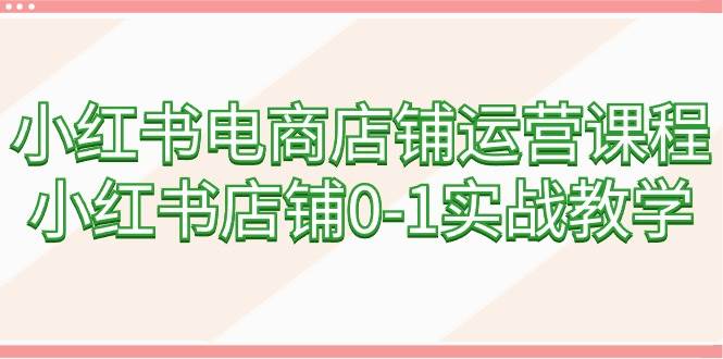 （9249期）小红书电商店铺运营课程，小红书店铺0-1实战教学（60节课）|无忧资源社