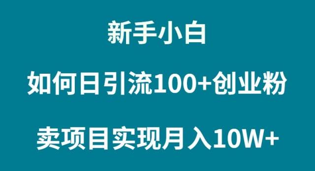 （9556期）新手小白如何通过卖项目实现月入10W+|无忧资源社