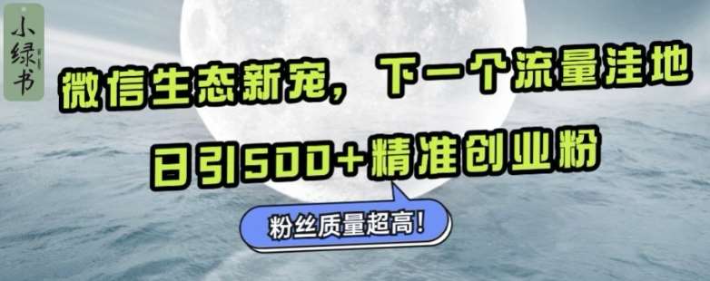 微信生态新宠小绿书：下一个流量洼地，日引500+精准创业粉，粉丝质量超高|无忧资源社