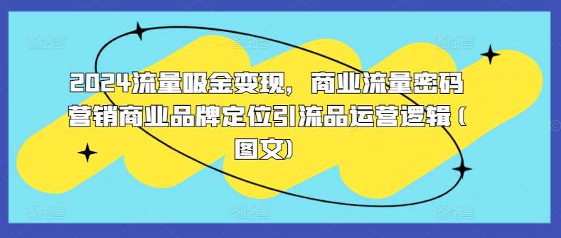 2024流量吸金变现，商业流量密码营销商业品牌定位引流品运营逻辑(图文)|无忧资源社