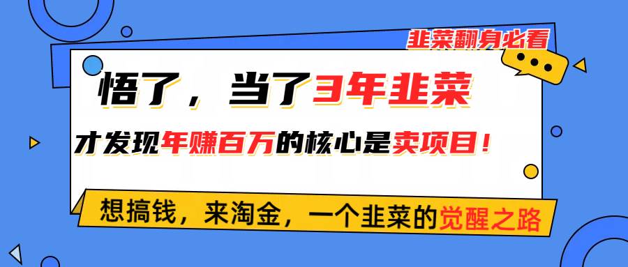 （10759期）悟了，当了3年韭菜，才发现网赚圈年赚100万的核心是卖项目，含泪分享！|无忧资源社
