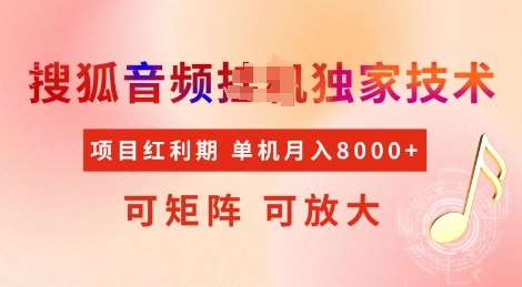 全网首发搜狐音频挂JI独家技术，项目红利期，可矩阵可放大，稳定月入8k【揭秘】|无忧资源社