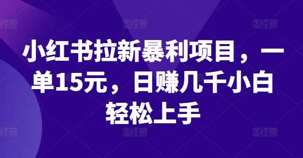 小红书拉新暴利项目，一单15元，日赚几千小白轻松上手【揭秘】|无忧资源社