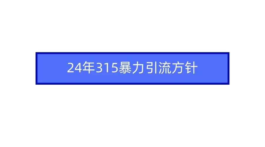 （9398期）2024年315暴力引流方针|无忧资源社