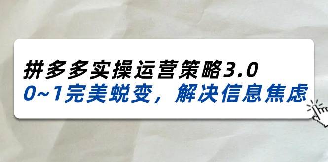 （11658期）2024_2025拼多多实操运营策略3.0，0~1完美蜕变，解决信息焦虑（38节）|无忧资源社