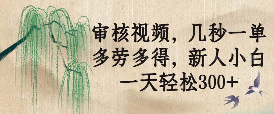 （14202期）审核视频，几秒一单，多劳多得，新人小白一天轻松300+|无忧资源社