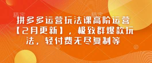 拼多多运营玩法课高阶运营【2月更新】，极致群爆款玩法，轻付费无尽复制等|无忧资源社