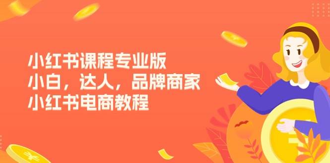 （11022期）小红书课程专业版，小白，达人，品牌商家，小红书电商教程（15节）|无忧资源社