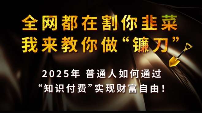 全网都在割你韭菜，我来教你做镰刀,2025普通人如何通过知识付费，实现财F自由【揭秘】|无忧资源社