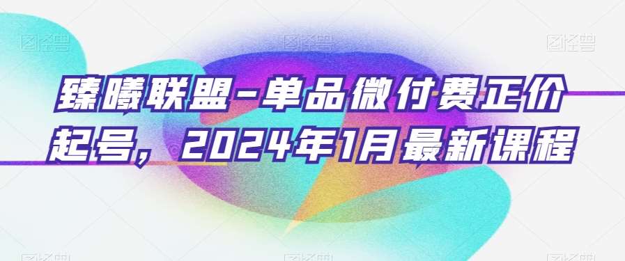 臻曦联盟-单品微付费正价起号，2024年1月最新课程|无忧资源社