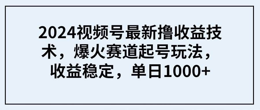 （9651期） 2024视频号最新撸收益技术，爆火赛道起号玩法，收益稳定，单日1000+|无忧资源社