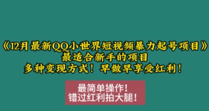 12月最新QQ小世界短视频暴力起号项目，最适合新手的项目，多种变现方式|无忧资源社