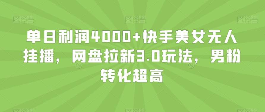 单日利润4000+快手美女无人挂播，网盘拉新3.0玩法，男粉转化超高【揭秘】|无忧资源社