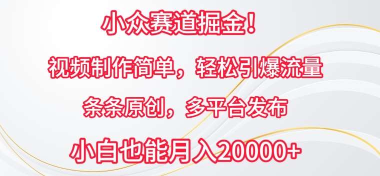 小众赛道掘金，视频制作简单，轻松引爆流量，条条原创，多平台发布【揭秘】|无忧资源社