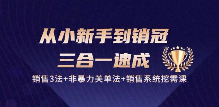 从小新手到销冠 三合一速成：销售3法+非暴力关单法+销售系统挖需课 (27节)|无忧资源社