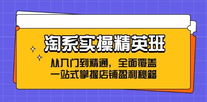 （12276期）淘系实操精英班：从入门到精通，全面覆盖，一站式掌握店铺盈利秘籍|无忧资源社