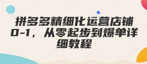 拼多多精细化运营店铺0-1，从零起步到爆单详细教程|无忧资源社