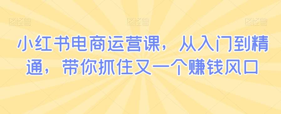 小红书电商运营课，从入门到精通，带你抓住又一个赚钱风口|无忧资源社
