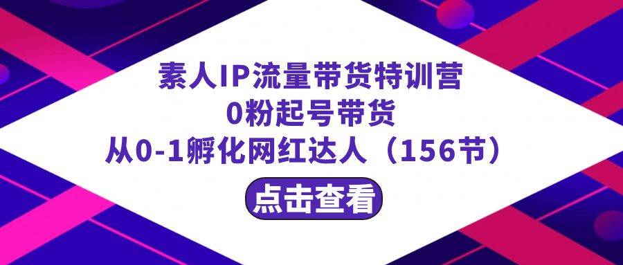 （8776期）繁星·计划素人IP流量带货特训营：0粉起号带货 从0-1孵化网红达人（156节）|无忧资源社