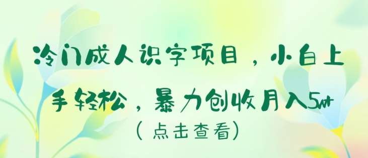 冷门成人识字项目，小白上手轻松，暴力创收月入5w+【揭秘】|无忧资源社