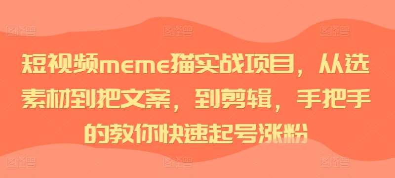 短视频meme猫实战项目，从选素材到把文案，到剪辑，手把手的教你快速起号涨粉|无忧资源社