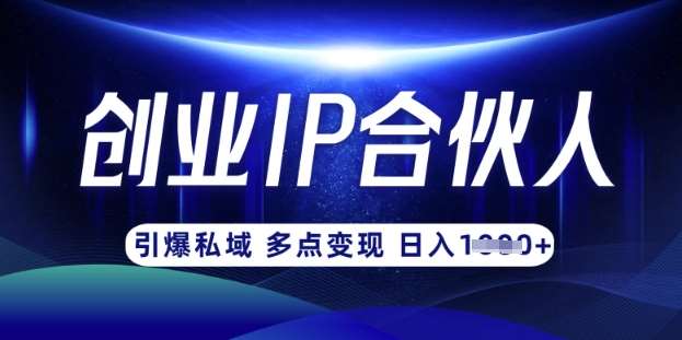 云帆·创业ip合伙人打造3.0，从0到1教你做网创，实现月入过W|无忧资源社
