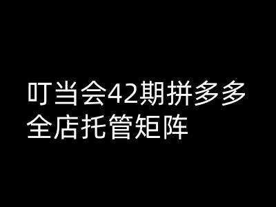 叮当会拼多多打爆班原创高阶技术第42期，拼多多全店托管矩阵|无忧资源社