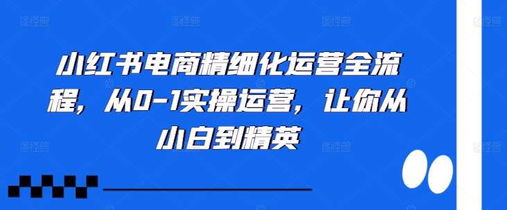 小红书电商精细化运营全流程，从0-1实操运营，让你从小白到精英|无忧资源社