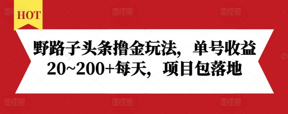 野路子头条撸金玩法，单号收益20~200+每天，项目包落地|无忧资源社
