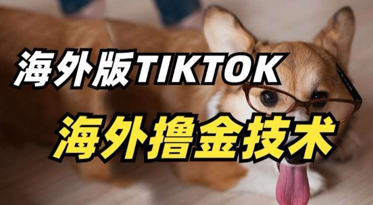 抖音海外版tiktok撸金技术，这个风口行业，赚钱真的不难【揭秘】|无忧资源社