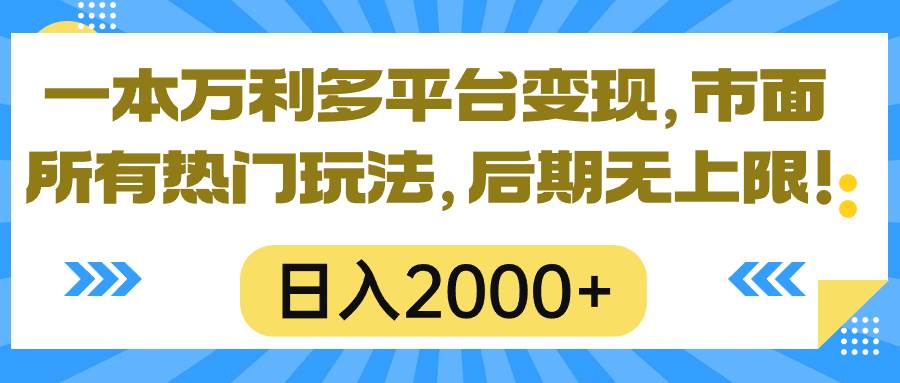 （10311期）一本万利多平台变现，市面所有热门玩法，日入2000+，后期无上限！|无忧资源社