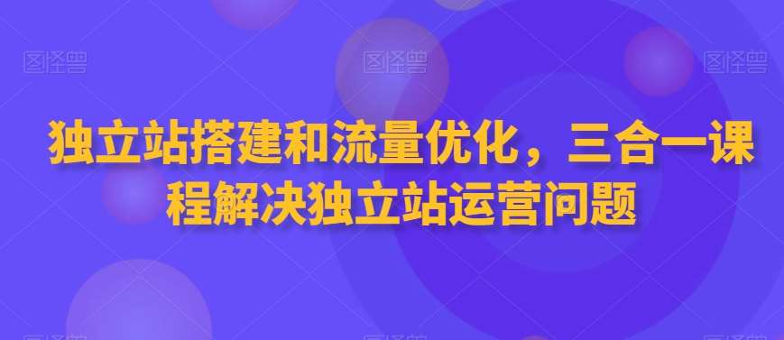 独立站搭建和流量优化，三合一课程解决独立站运营问题|无忧资源社