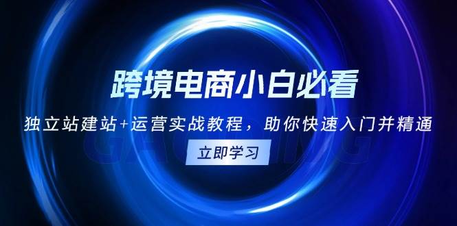 （13503期）跨境电商小白必看！独立站建站+运营实战教程，助你快速入门并精通|无忧资源社