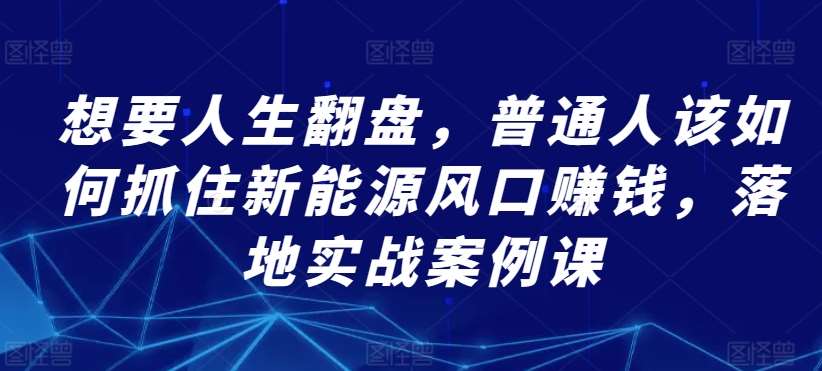 想要人生翻盘，普通人该如何抓住新能源风口赚钱，落地实战案例课|无忧资源社