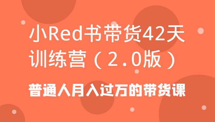 小Red书带货42天训练营（2.0版）普通人月入过万的带货课|无忧资源社