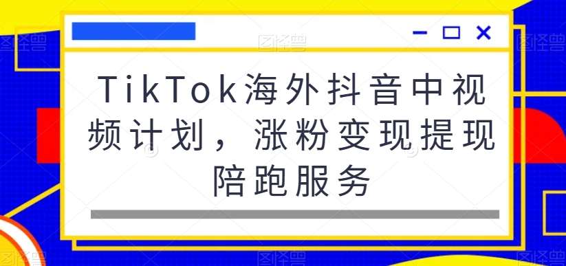 TikTok海外抖音中视频计划，涨粉变现提现陪跑服务|无忧资源社