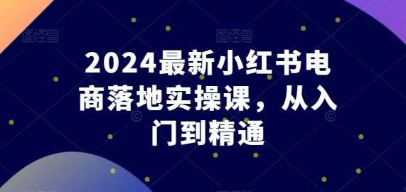 2024最新小红书电商落地实操课，从入门到精通|无忧资源社