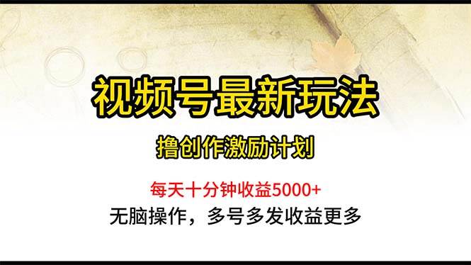 （10591期）视频号最新玩法，每日一小时月入5000+|无忧资源社