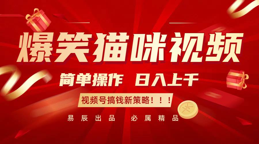 爆笑猫咪视频：简单操作，日入过千，视频号搞钱新策略！|无忧资源社