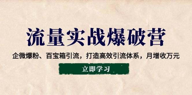 （14039期）流量实战爆破营：企微爆粉、百宝箱引流，打造高效引流体系，月增收万元|无忧资源社
