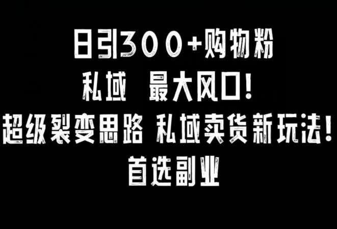 日引300+购物粉，超级裂变思路，私域卖货新玩法，小红书首选副业【揭秘】|无忧资源社