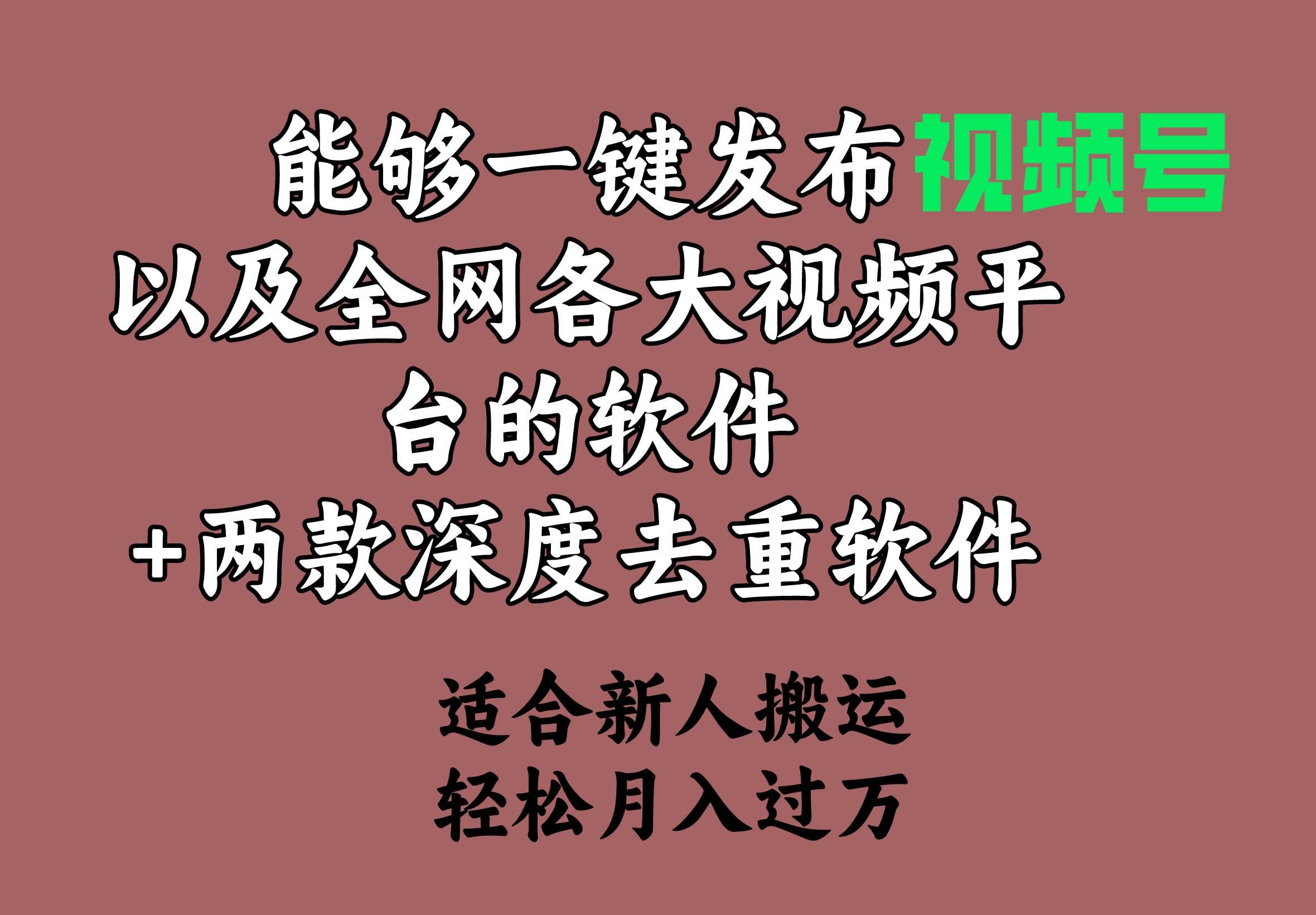 （9319期）能够一键发布视频号以及全网各大视频平台的软件+两款深度去重软件 适合…|无忧资源社