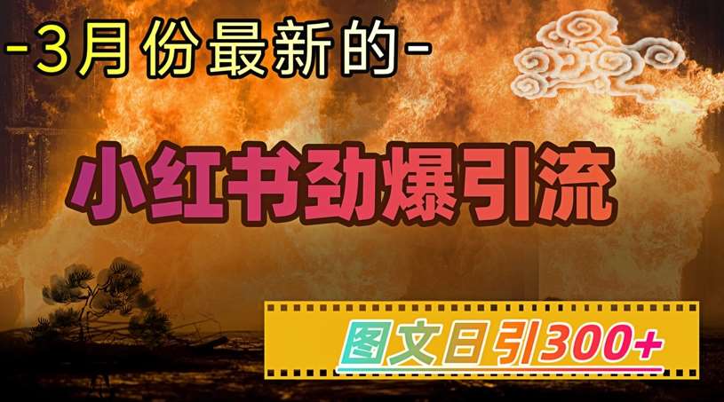 小红书超劲爆引流手段，图文日引300+轻松变现1W|无忧资源社