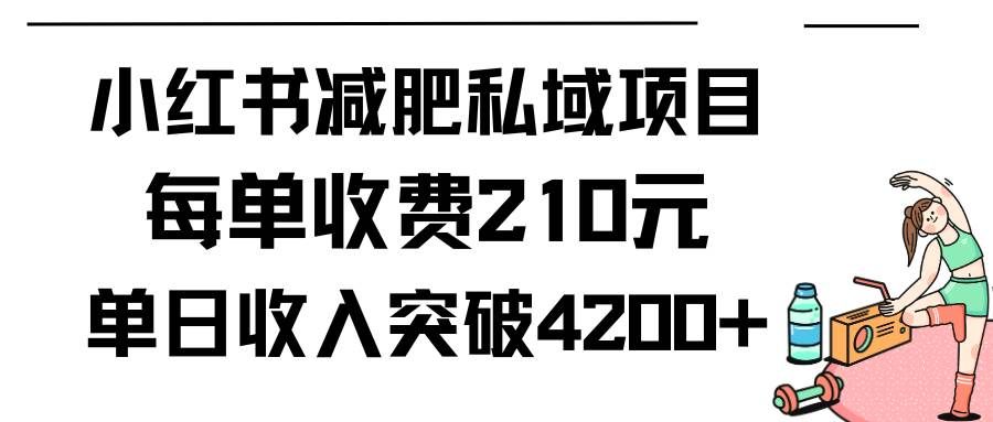（9466期）小红书减肥私域项目每单收费210元单日成交20单，最高日入4200+|无忧资源社
