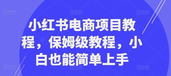 小红书电商项目教程，保姆级教程，小白也能简单上手|无忧资源社